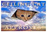 Ceiling Cat