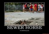 Sewer Horse/Basement Horse