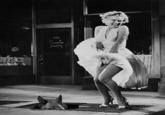 Sewer Horse/Basement Horse