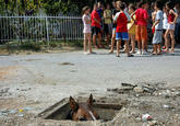 Sewer Horse/Basement Horse