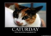Caturday