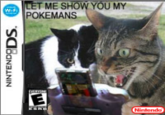 My Pokemans, Let Me Show You Them