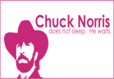 Chuck Norris Facts