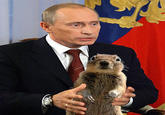 Crasher Squirrel