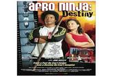 Afro Ninja
