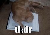 tl;dr