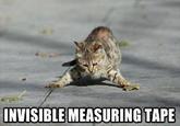 Invisible X