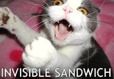 Invisible X