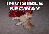 Invisible X