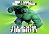 roommate hulk