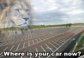 Jesus Christ It's a Lion Get In The Car!