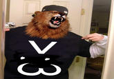 Jesus Christ It's a Lion Get In The Car!