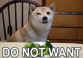 Broccoli Dog