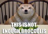 Broccoli Dog