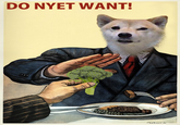 Broccoli Dog