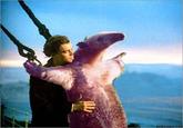 I'm an Anteater!!!