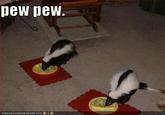 Pew Pew