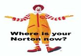 I GOT NORTON