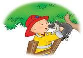 Caillou