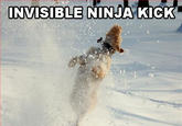 Invisible X