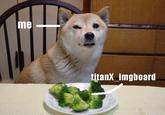 Broccoli Dog
