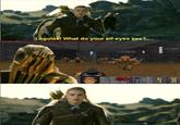 What do your elf eyes see?