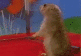 Dramatic Chipmunk / Drama Prairie Dog