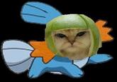 Limecat
