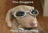 The Goggles Do Nothing!
