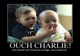 Charlie Bit Me