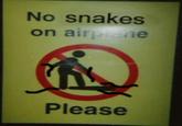 Snakes on a Plane