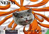 NEDM
