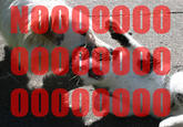Darth Vader's Noooooooooooo!