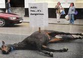 Dead horse