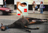 Dead horse