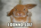 I Dunno LOL ¯\(°_o)/¯