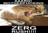 Zerg Rush