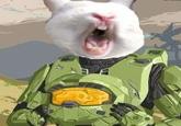 Bunnyfaic