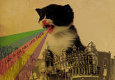 Puking Rainbows