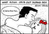 What 4chan Cries Out During Sex
