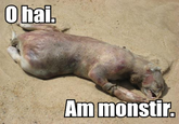 Montauk Monster
