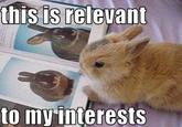 This is Relevant to My Interest