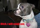 B*TCH, please.