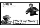 Chuck Norris Facts