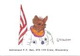 Space Bat