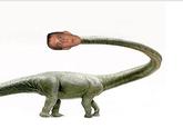 Dick Neck
