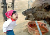 Habeeb It