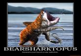 Bearsharktopus