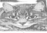 ASCII Art