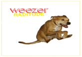 Weezer Raditude Dog 